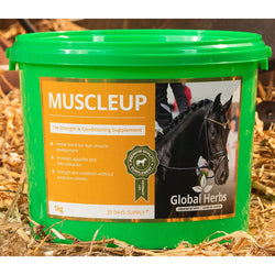 Global Herbs MuscleUp Lean Muscle Up Builder Topline Strength Horse Supplement