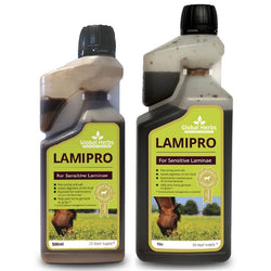 Global Herbs LamiPro Liquid Laminae Digestion Liver Metabolism Hoof Supplement