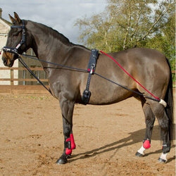 Whitaker Training System Self Carriage Lunge Lunging Pessoa and Adjustable Roller
