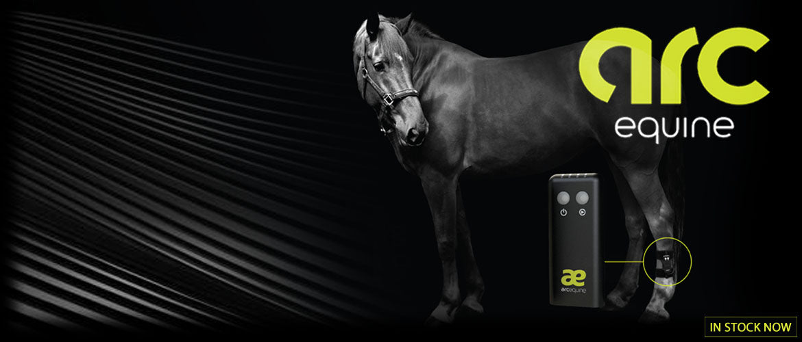 Arc Equine