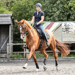 Equilibrium Stretch and Flex Flatwork Wraps Supportive Schooling Wraps New Style