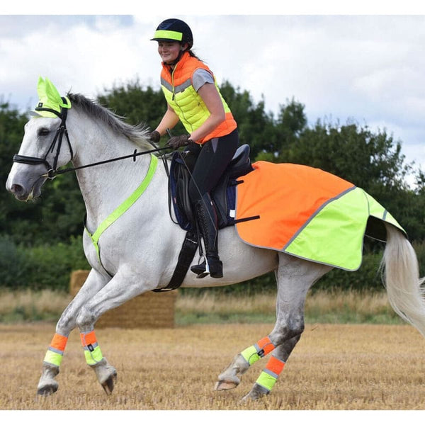 Horse Riding Pants Girls HORZE Kids Short Sleeved Technical