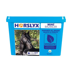 Horslyx Mint Balancer Free-Choice Field/Stable Treat Vitamin Mineral Lick 5/15Kg