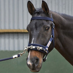 Whitaker Padded Lunge Training Cavesson Fully Adjustable Navy Cob/Full Size