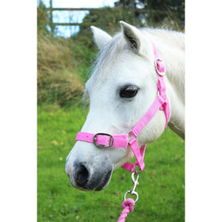 Gallop Basic Nylon Headcollar and Free Matching Lead Rope Set Pink Shetland-Full
