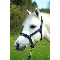 Gallop Basic Nylon Headcollar and Free Matching Lead Rope Set Navy Shetland-Full