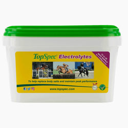 TopSpec Electrolytes Replaces Salt Lost After Heavy Sweating Exercise Travelling