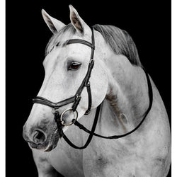 Horseware Micklem Deluxe Competition Bridle Raised Padding Anatomic FEI Approved