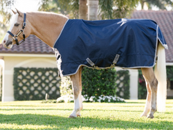 Horseware Amigo 1200D Pony Turnout Rug StandardNeck Lightweight 0g Sheet 3'9-5'9