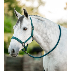 Horseware Head Collar and Leadrope Set Fleece Lined Webbing Dynasty Green P/C/H