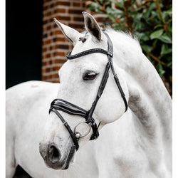 Horseware Diamante Flash Bridle Crystal Browband and Patent Noseband Black/Bling
