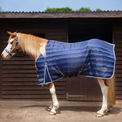Gallop Trojan 300G Heavy Weight Standard Neck Warm Stable Rug Navy 5'6'-7'0'