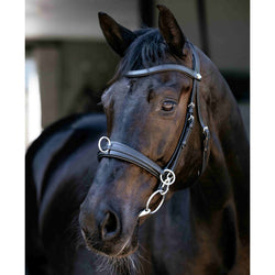 LeMieux Cross-functional Leather Cavesson Anatomical Adjustable Lunging Bridle