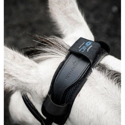 Horseware Ionic Therapy Poll Cover Soothes Head Shaking Discomfort Sensitivities