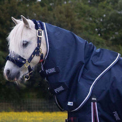 Gallop Ponie Duraproof 5-Point Lightweight Waterproof Pony Turnout Neck Cover