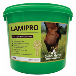 Global Herbs LamiPro Powder Laminae Digestion Liver Metabolism Hoof Supplement 1