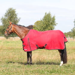 Hy Equestrian HyCONIC 200g 600D Medium Weight Standard Turnout Rug Red 4'6'-7'3'