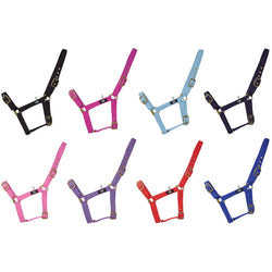 Hy Equestrian Holly Fully Adjustable Head Collar Strong Everyday Headcollar