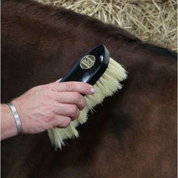 Supreme Products Perfection Flick Brush Everyday Quick Speedy Grooming Brush