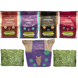 Silvermoor Grassabix Forage Block Treat - Grass Cinnamon Linseed Turmeric Mint