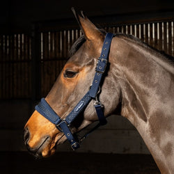Whitaker San Francisco Padded Reflective Headcollar Halter Navy Pony/Cob/Full