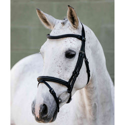 LeMieux Arika Anatomic Flash Bridle Soft Padded Comfort Monocrown Black/Brown
