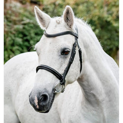 Horseware Pony Cavesson Bridle Plain Raised Ergonomic Padding Black/Brown Mini-P