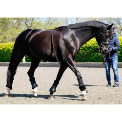 LeMieux Rope Lunging Aid Soft German Lunge Rope Harry Helps Topline Stretch