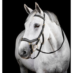 Horseware Micklem Multi Bridle NEW 2026 Style DualPurpose Bitless/Anatomic/Lunge