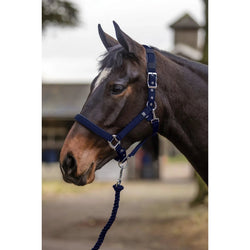Hy Equestrian Deluxe Padded Head Collar Adjustable Comfort Headcollar Cob/Full SALE