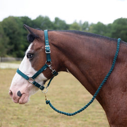 Gallop Premium Padded Headcollar Set With Free Matching Lead Rope Green S/P/C/F