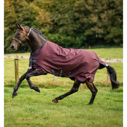 Horseware Amigo 1200d Turnout Rug Lightweight 50g Black Navy Burgundy 5'6'-7'3'