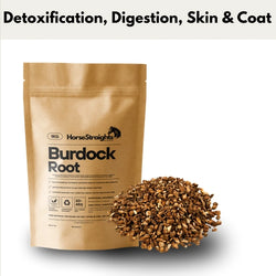 Horse Straights Direct Burdock Root Natural Detox Skin Coat Digestion Supplement
