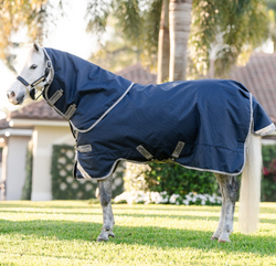 Horseware Amigo 1200D Plus Pony Turnout Rug 250g +Hood Mediumweight 250g 3'9-5'9