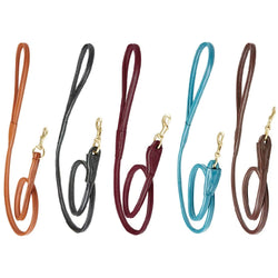 WeatherBeeta Rolled Leather Dog Lead Solid Brass Trigger Clip 120cm All Colours