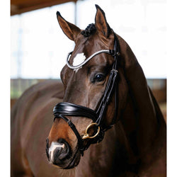 LeMieux Kudos Anatomic Dressage Bridle Soft Padded Shaped Crank Nose Black/Brown