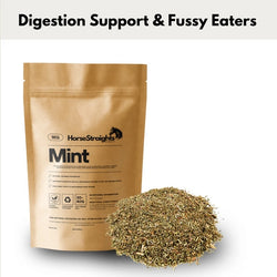 Horse Straights Direct Mint Herbal Digestion and Appetite Stimulator Supplement