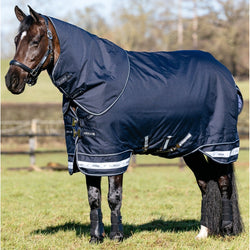 LeMieux Arika Storm-Tek 50g Lightweight Light Turnout Rug with Hood 4'9' - 7'3'