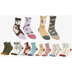 LeMieux Mini Character Socks Soft Cotton Kids Riding Socks 2 x Pairs Winter 2025