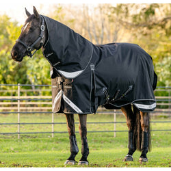 LeMieux Kudos Neo-Turnout Rug 200g + Hood 1680d Mediumweight Turnout 5'6'-7'3'