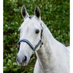 Horseware Grooming Headcollar Waterproof Bathing Halter Detachable Throatlash