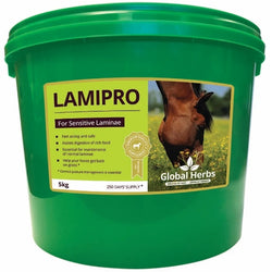 Global Herbs LamiPro Powder Laminae Digestion Liver Metabolism Hoof Supplement 5
