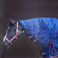Gallop Trojan Lightweight 50G Detachable QuiltedStable Neck Cover Hood Navy S-XL