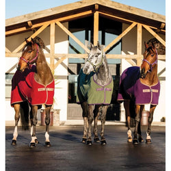 Horseware Amigo Fleece Cooler Wicking Sweat Rug Bramble/Winterberry/Mulberry