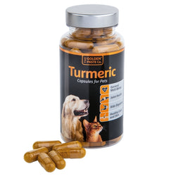Golden Paste Company Turmeric Supplement Joint Skin Wellbeing Capsules For Pets