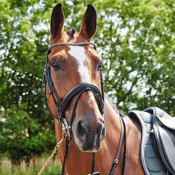 Whitaker Barton Flash Bridle + Bling Browband and Reins Pony/Cob/Full Black/Brown