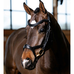 LeMieux Kudos Sport Bridle Ergonomic Shaped Padded Pressure Relief Black/Havana
