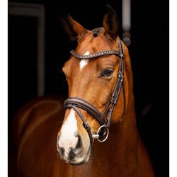 LeMieux Arika Anatomic Dressage Bridle Soft Padded Comfort Cavesson Black/Brown