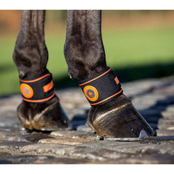 LeMieux Magno Pastern Wrap Magnetic Magnet Protect Healing Circulation Therapy