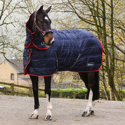 Whitaker Rastrick V2 250G Stable Rug Combo With Detachable Neck Medium 4'9- 7'0'